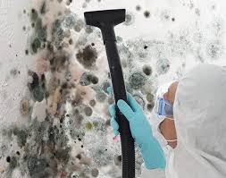 Biohazard Mold Removal in Meridianville, AL